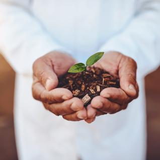 Eating for the Planet: The Environmental Impacts of Dietary Choices