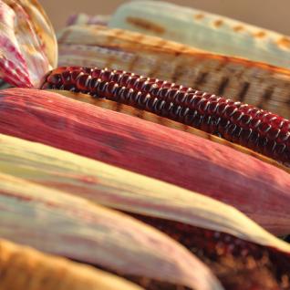 Food Sovereignty as an Approach to Indigenous Health Equity