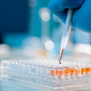 Ethical Considerations in Human Nutrition Research
