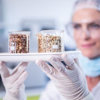 Processed Foods and Plant-Based Diets